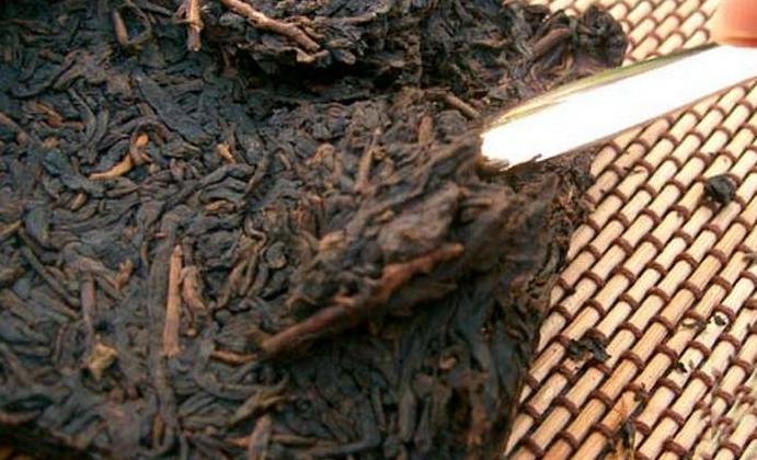 茶叶长虫了还能喝吗,茶叶长虫了还可以吃吗