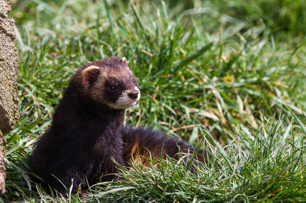 比生化武器还厉害的武器,比生化武器还可怕的武器