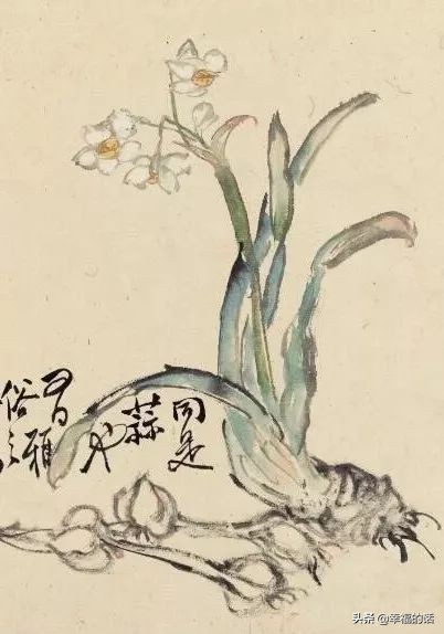 10大名花的美誉,10大名花10大名画配10首诗词