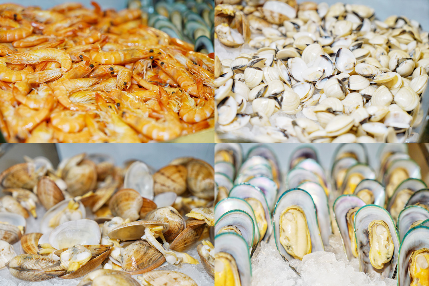 广州粉色浪漫花海,广东秋天粉色花海