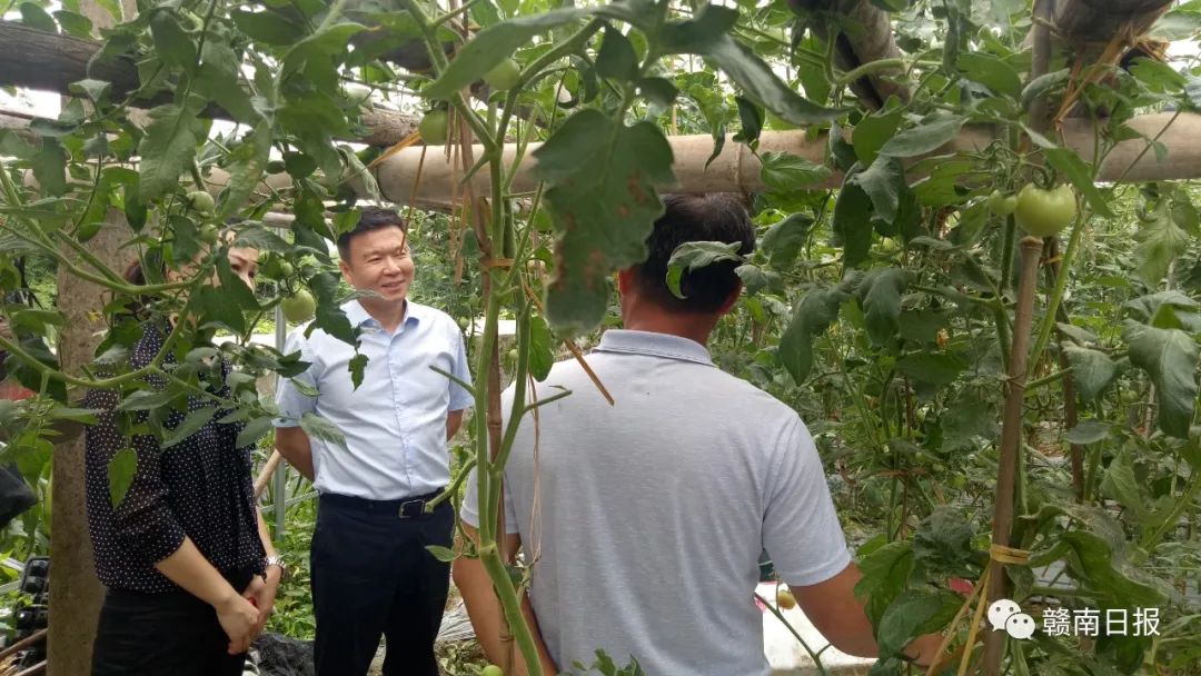 赣州市一批集体和个人获全省表彰,赣州市表彰先进集体