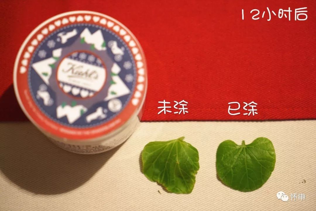 在科颜氏官网怎么下单,科颜氏哪款值得买