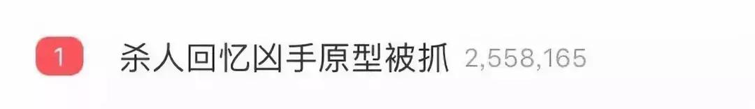 杀人回忆里真凶被抓,杀人回忆元凶电影解说