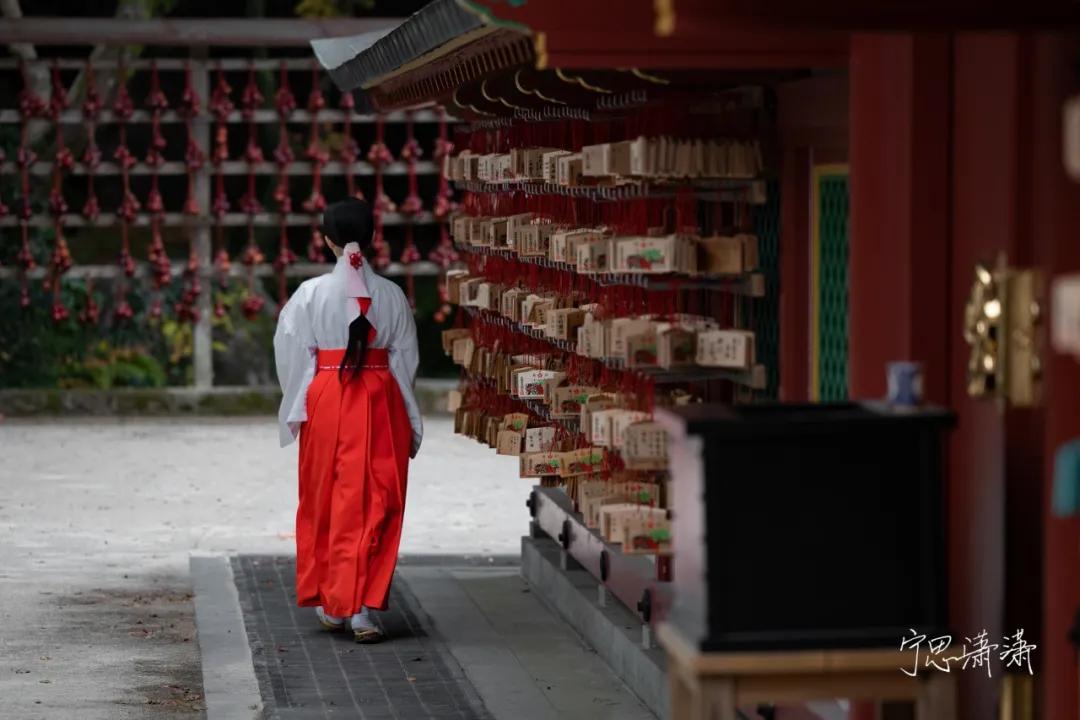 佳能全画幅微单是什么卡口,佳能rf卡口镜头今年还会出吗