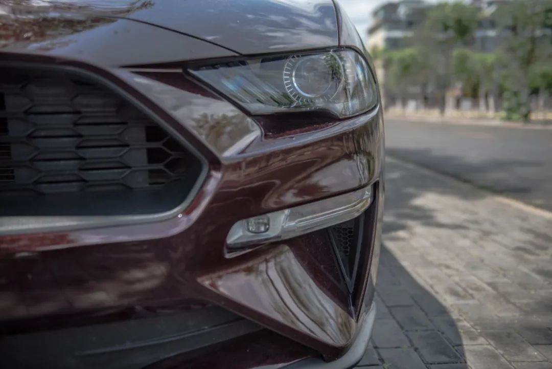 野马2.3t被叫野驴,野马2.3t小野驴