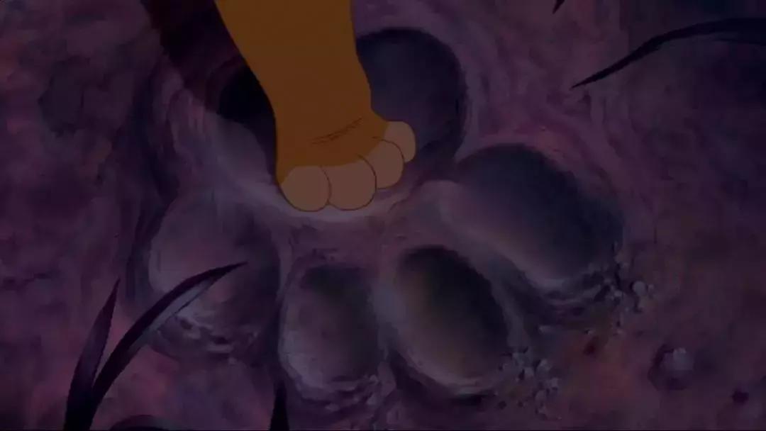 真实版的狮子王,现实版狮子王比想象的更残酷