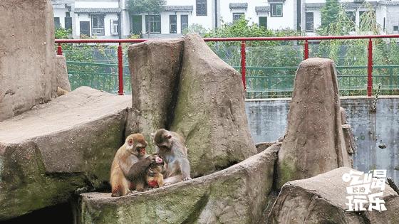 长沙靖港古镇与乔口古镇哪个好玩,乔口古镇有什么好玩的