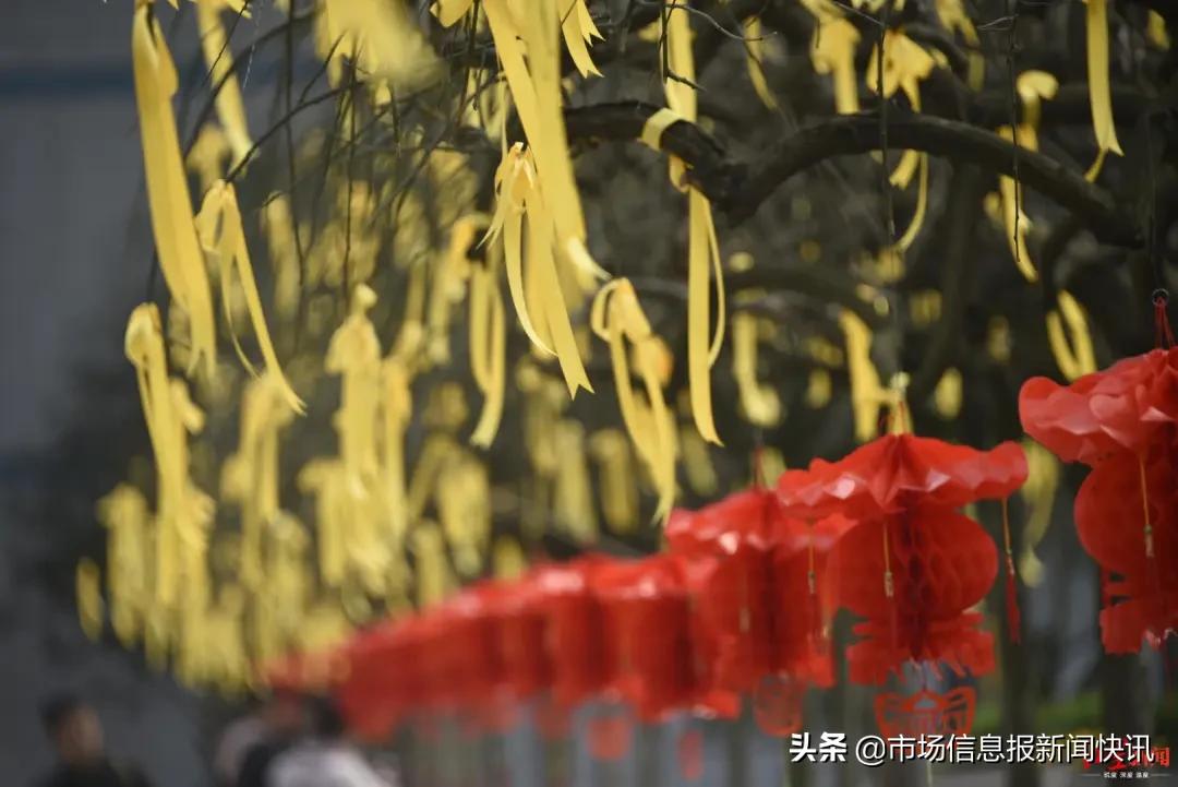 疫情下如何扫墓？实地祭扫需预约，鼓励“云祭祀”还可微信视频