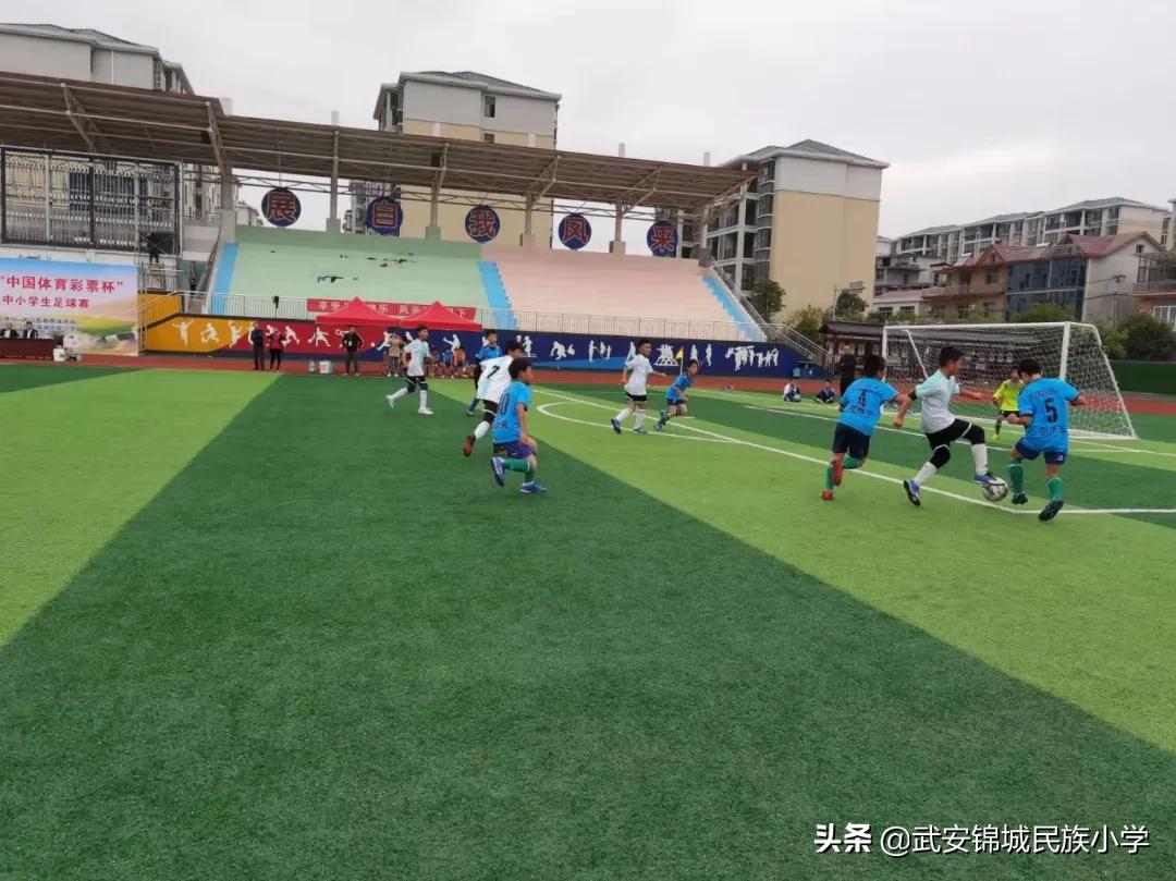 快乐足球放飞梦想演讲稿,快乐足球运动场