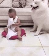 搞笑gif你们这些城里人太会玩了,搞笑gif逗比的世界你永远理解不了