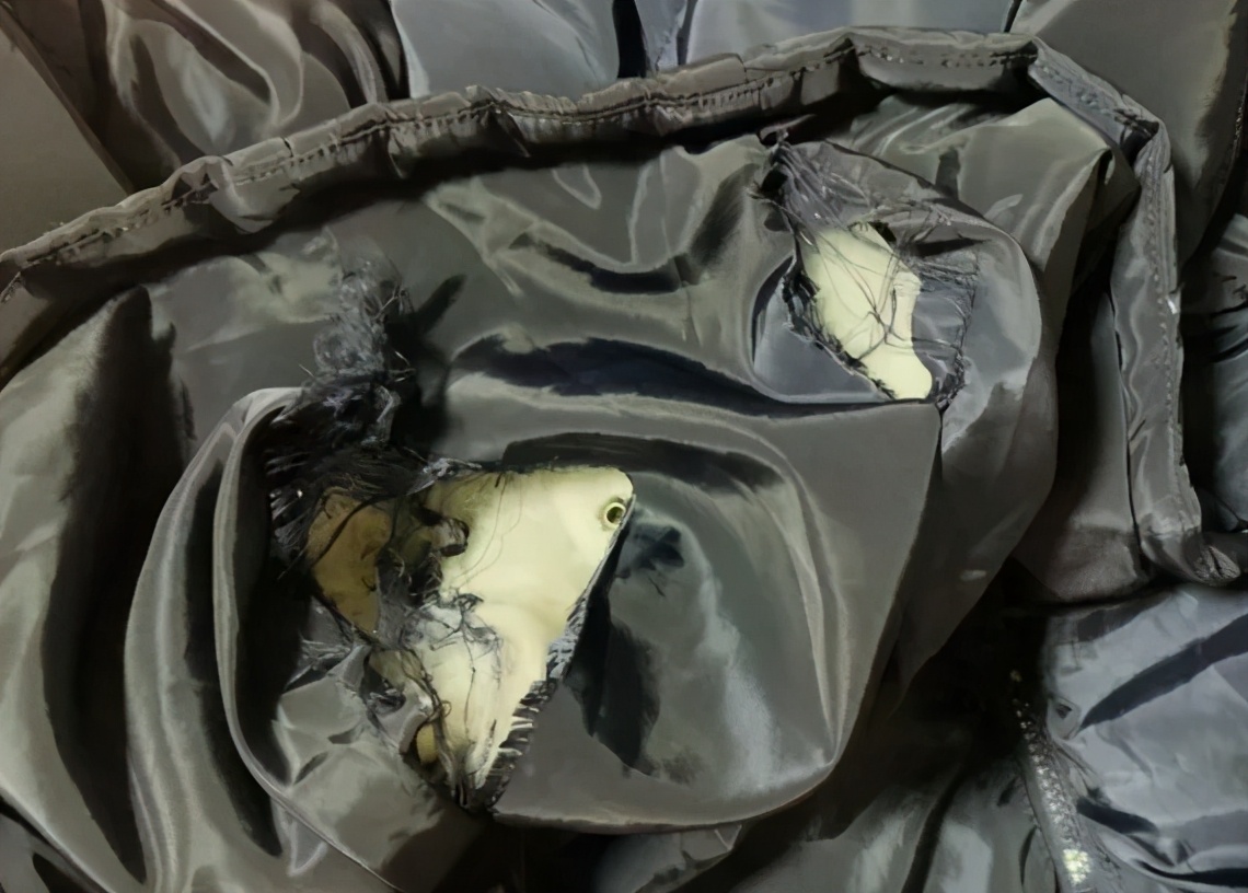 学生定制1900元校服,学生校服大量定制为什么还那么贵