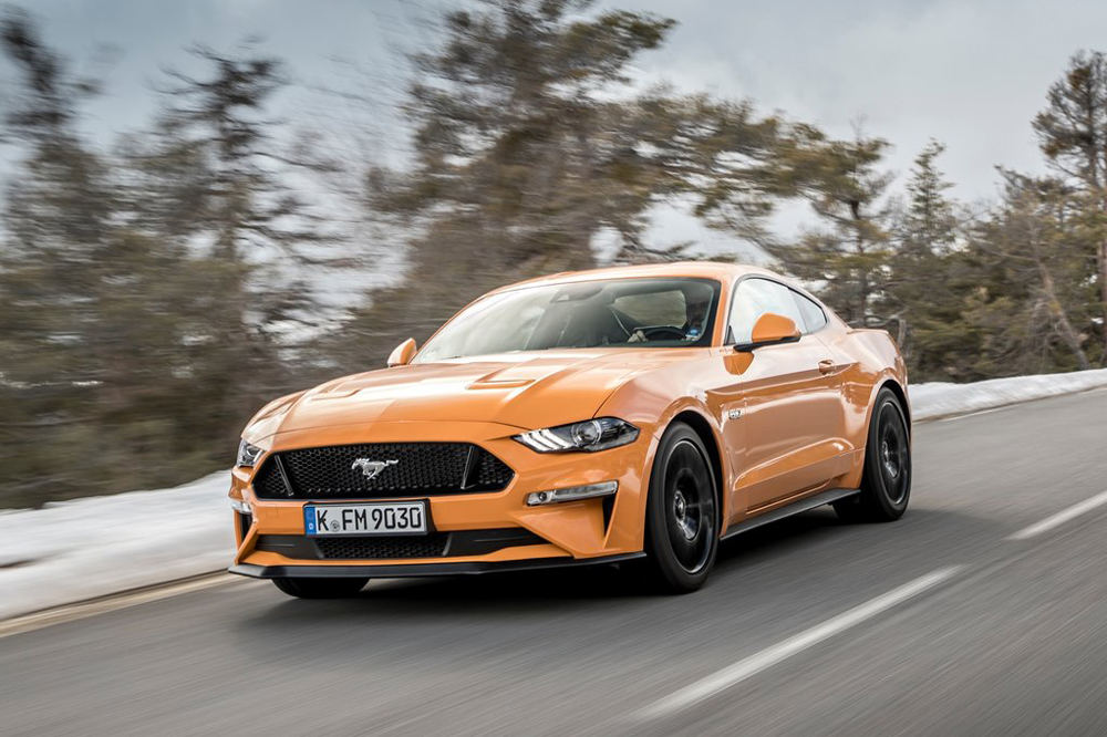 澶х嫍鐧界尗,澶х嫍鐧界尗瀹炶溅