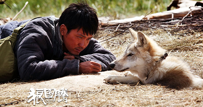 狼图腾巨大争议,狼图腾旷世奇书