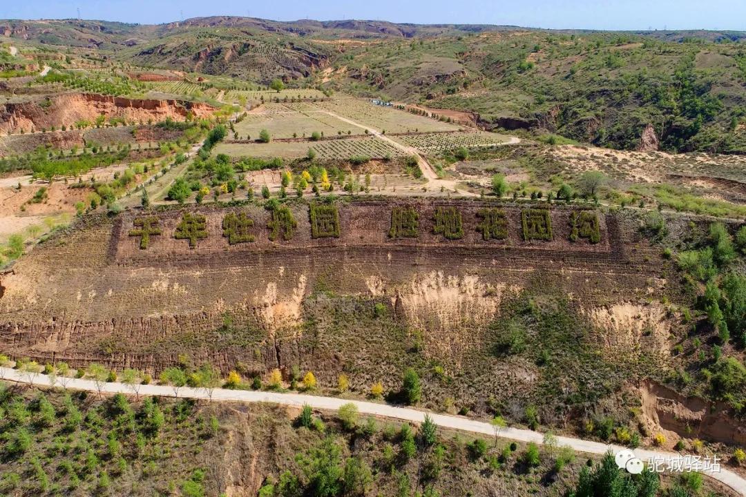 榆林牡丹园,榆林千年牡丹园