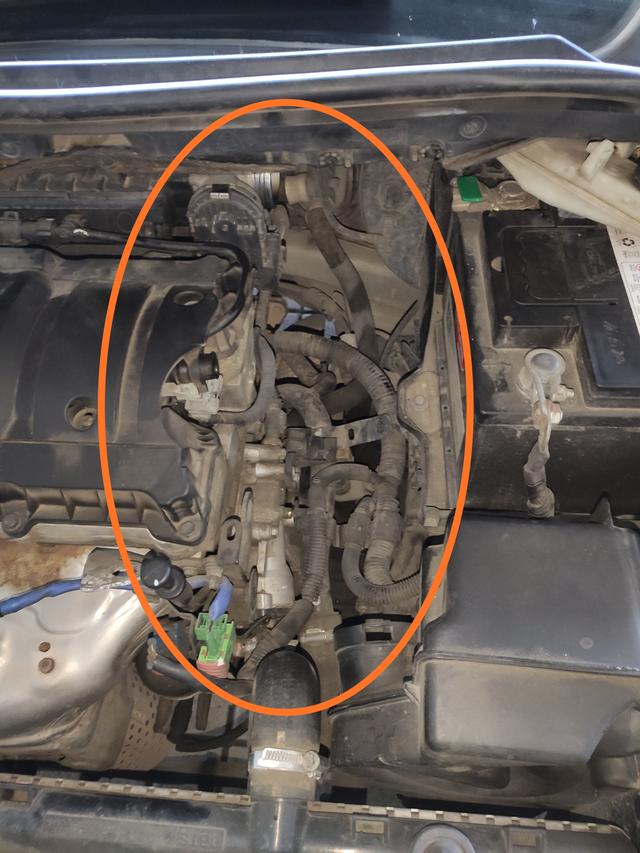 雪铁龙世嘉底盘异响,雪铁龙世嘉底盘尖锐异响