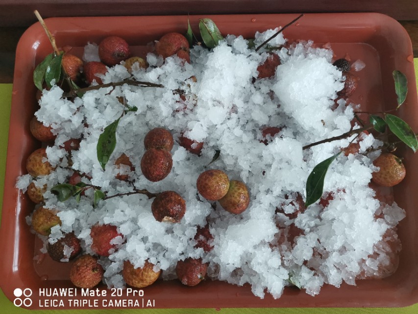 雪花牌制冰机家用型,商用雪花制冰机
