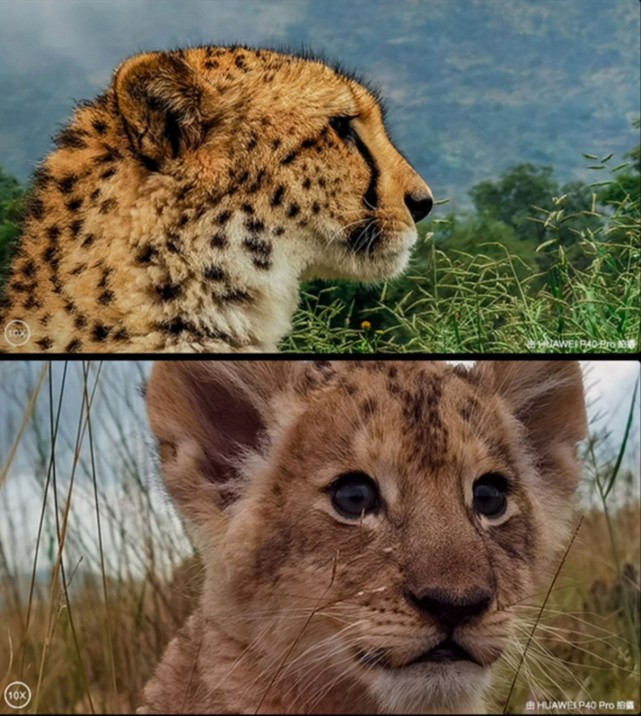 摄影摄像师教你三招手机拍摄技巧,手机如何拍摄提高手机照相技术