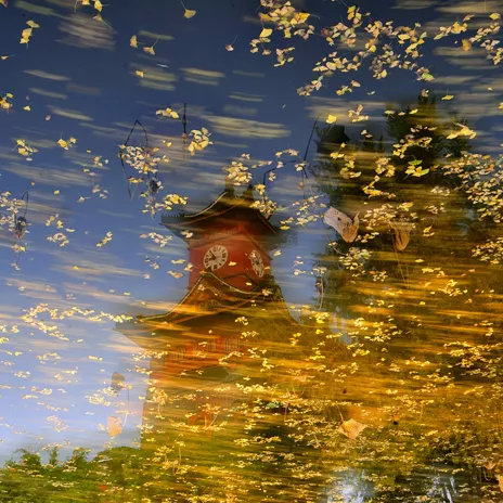 川大考研需要什么条件,川大考研需要准备哪些