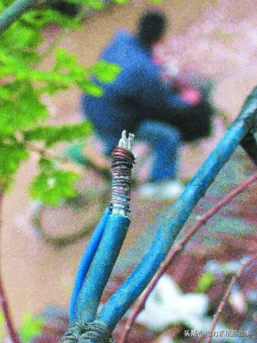 怎么找漏电点最简单方法,怎么快速查出电路漏电点