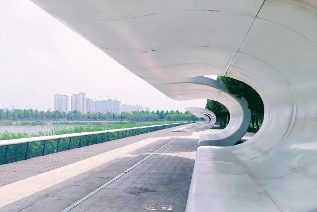 今年武清区有什么大发展,关于天津武清区发展报告