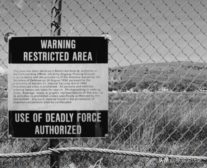 500只羊一夜暴毙真相,200只羊集体暴毙