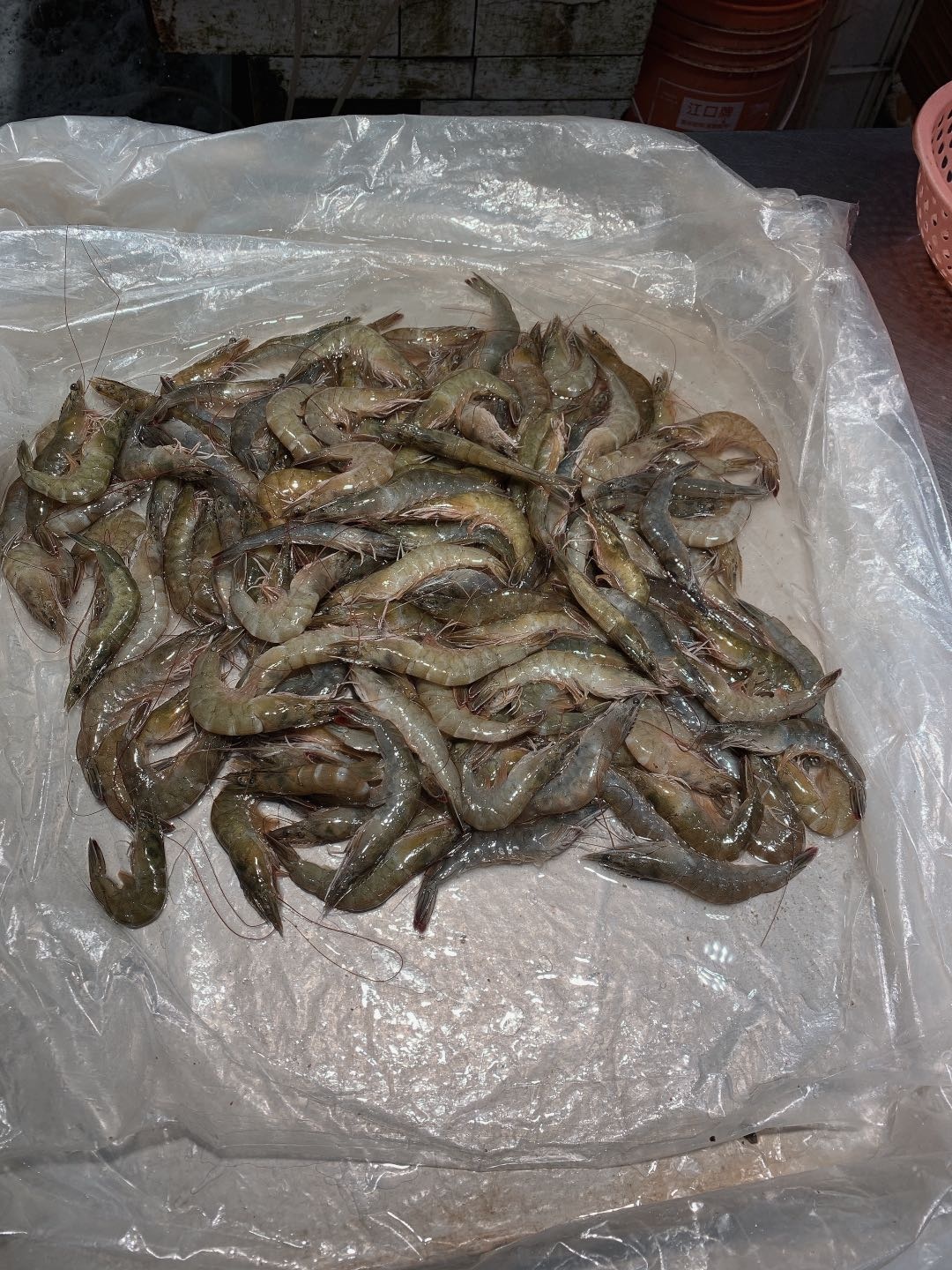 北海干货海鲜批发市场哪个便宜,北海菜市场买海鲜哪个最新鲜