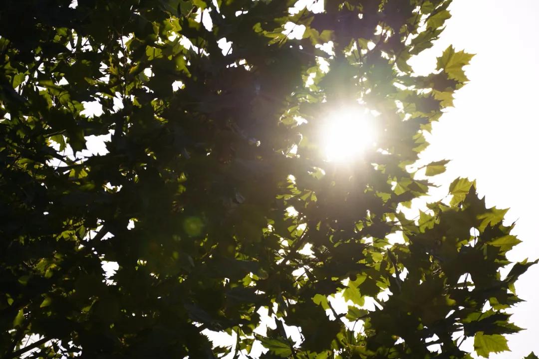 腾龙70-300mm长焦索尼微单e卡口镜头,长焦镜头腾龙