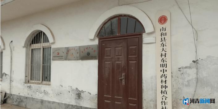 邢台南和农业有什么致富路 (邢台市中药材种植扶持力度)