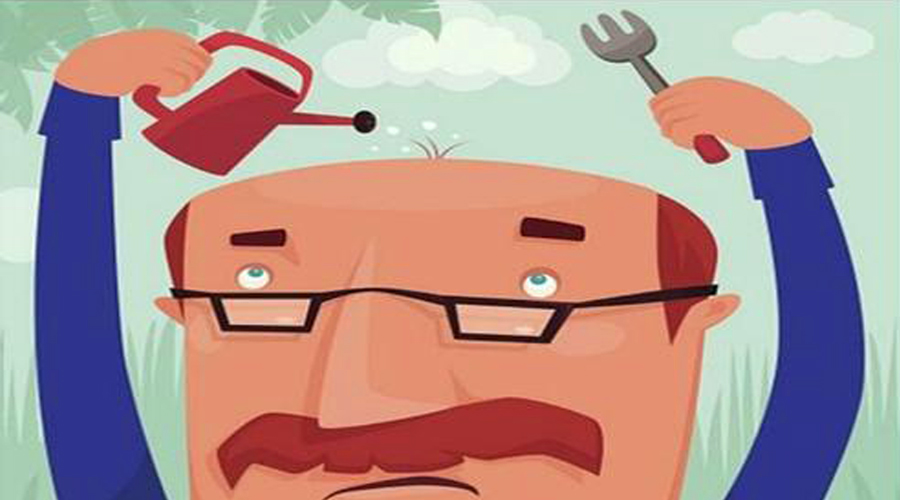 秃发怎么养发,秃发养发过程