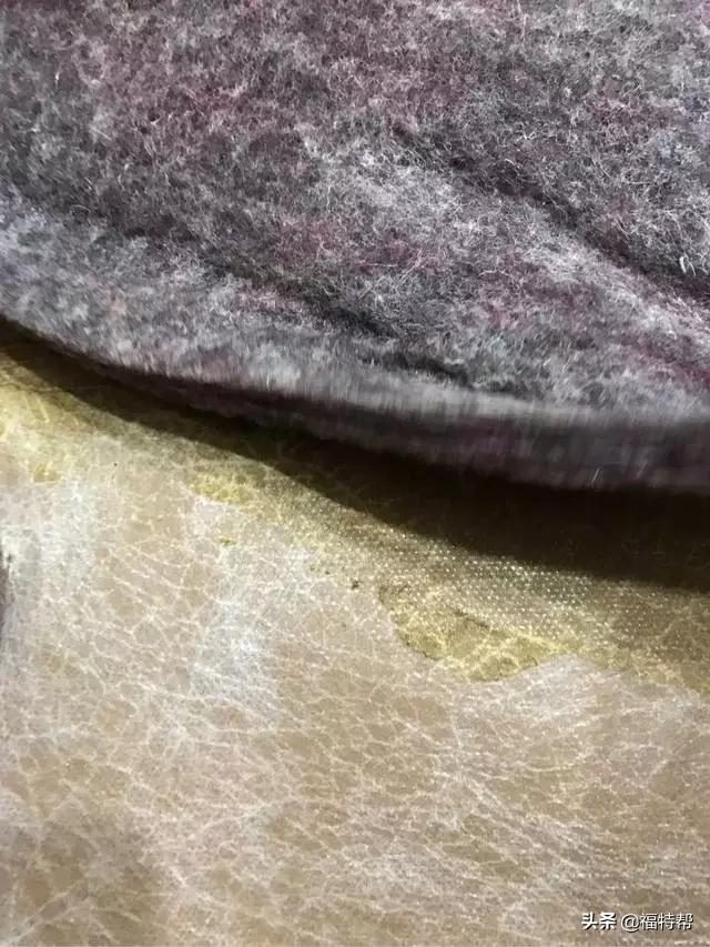 福特异味清除,福特蒙迪欧2022款异味大吗