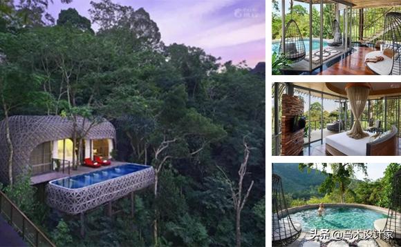 森迪部落树屋酒店,浙江树屋酒店