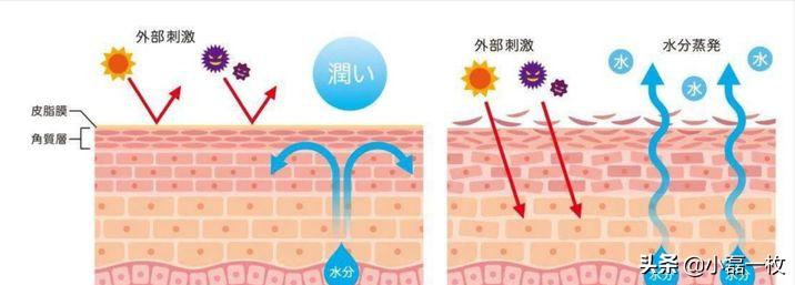 熬夜脸色蜡黄怎么改善最快最有效,脸熬夜蜡黄暗沉怎么调理