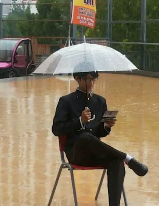 撑伞龙猫,意想不到的cos龙猫