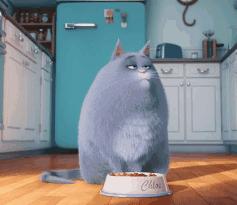 广告宣传一般都是什么,广告宣传的效果能信吗