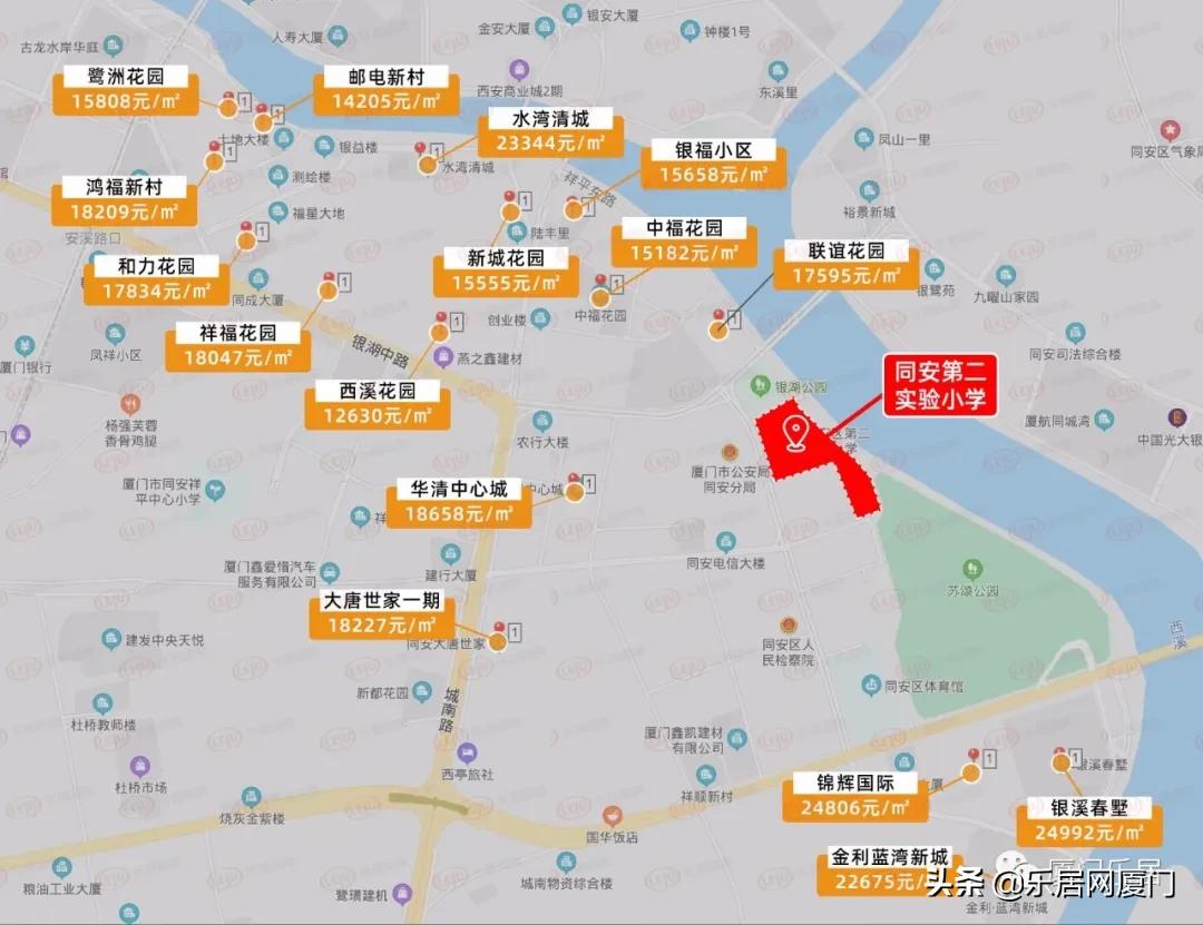 老破小也抗跌！解析同安三大名校背后的“学区热”