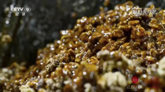 揭秘|切糕为什么那么贵!不了解实情的人看这里