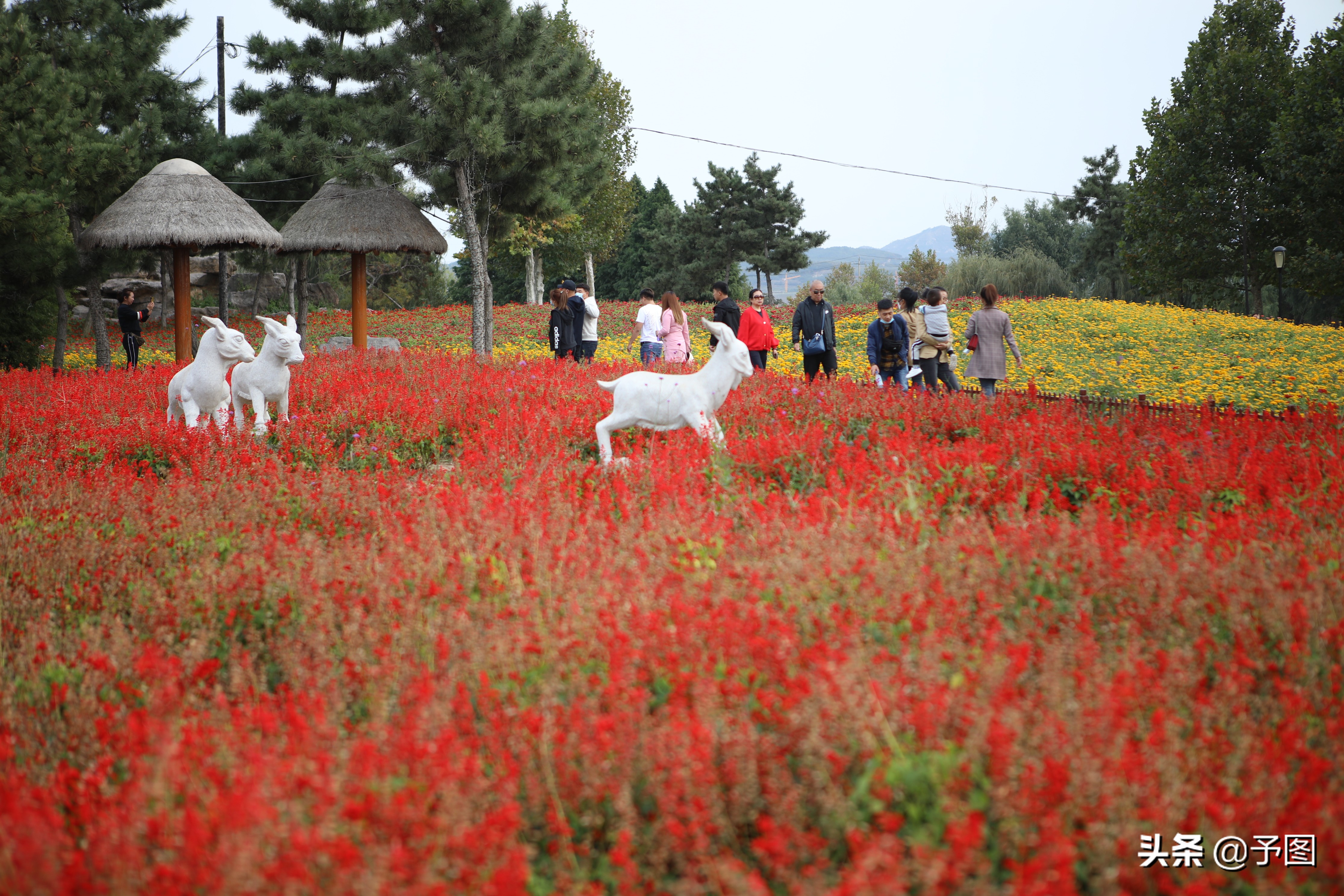 沙城湿地公园网红打卡地3.8公里,内江大自然湿地公园网红打卡地