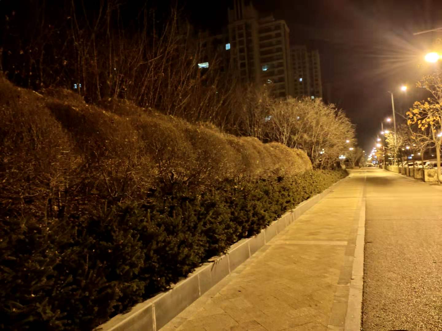 御东房价现在是多少,御东房价什么价位