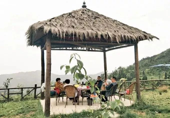 1h飚拢！千年银杏、云海星空、木屋烧烤……这条路线9……