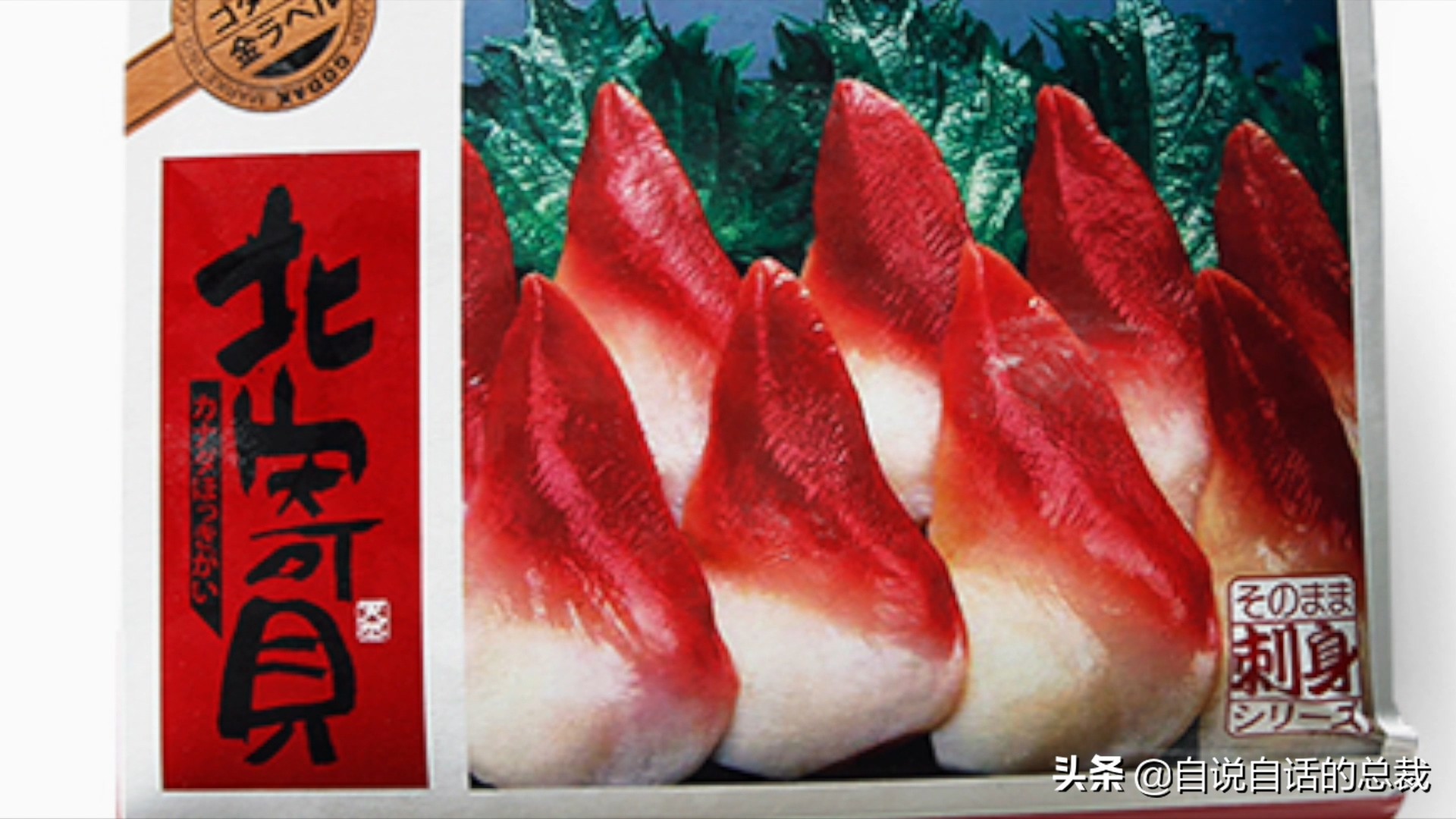 蛏子与小人蚬的区别,贻贝蛤蜊有什么区别