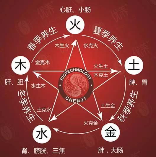人体五脏与五行怎样对应的,五脏对应的五行是哪五行