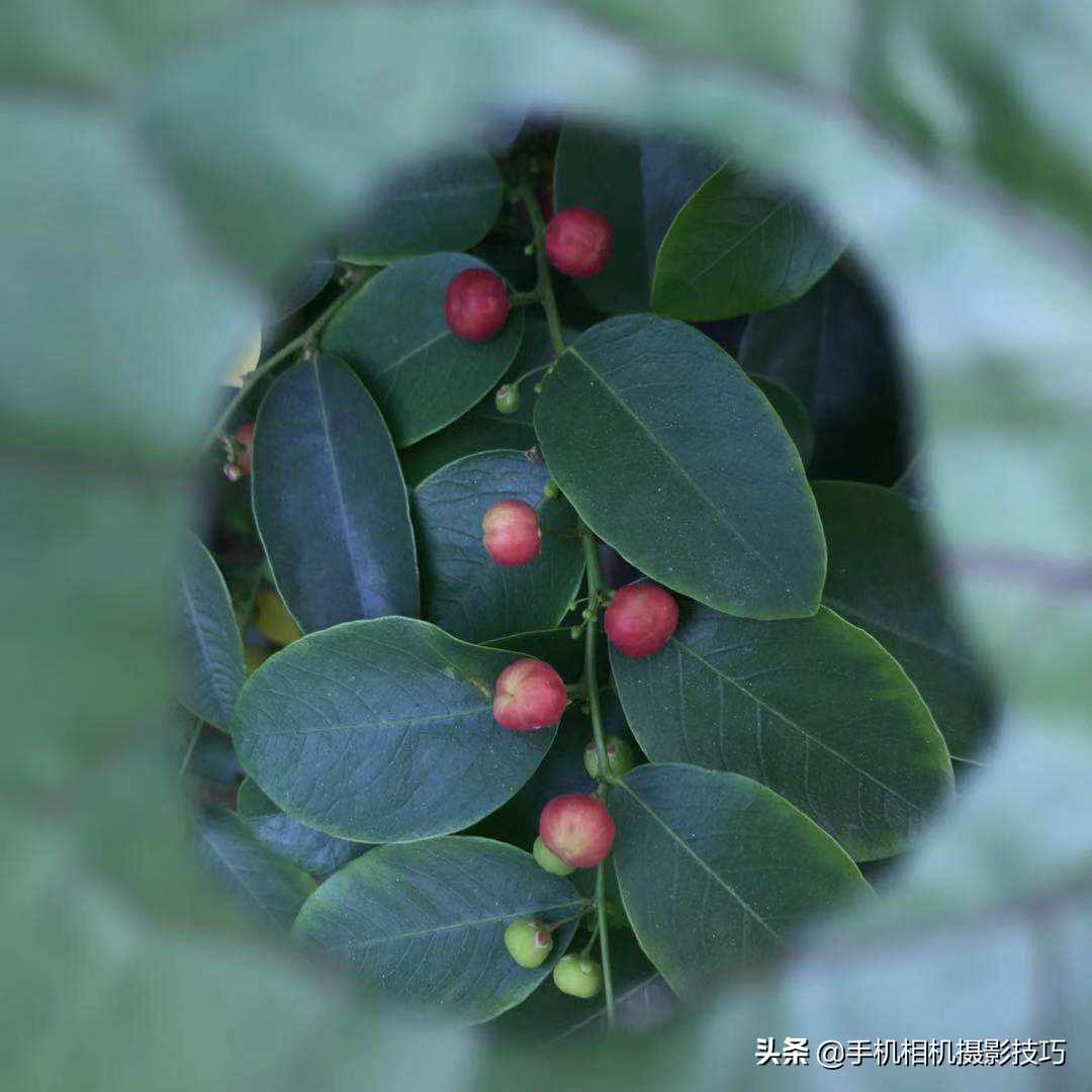 轻松拍摄漂亮照片四大法则构图篇,十种构图法拍的照片