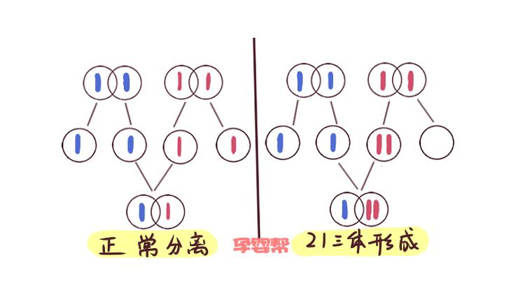 濂跺ザ澶稿瓩瀛愭槸鏂帉,濂跺ザ閫汉澶稿瓩瀛愭槸鏂帉