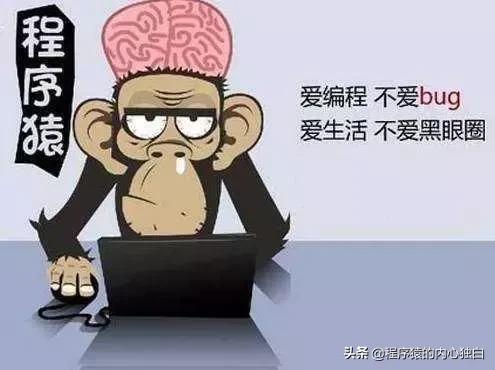 程序员的工资一般有哪几个档次,为什么程序员的工资这么高