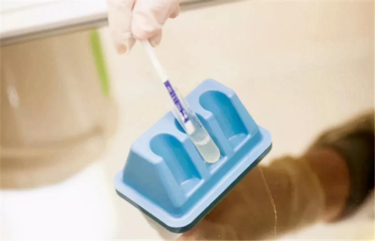 艾滋病大部分都是同性传播吗,艾滋病同性传播还是异性传播