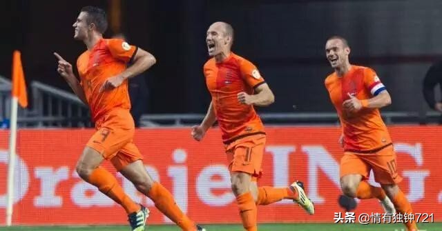 郁金香将再次绽放荷兰,郁金香还会再开花吗