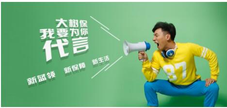 大树保险公司,大树保平安保险