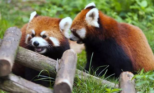 贵州旅游攻略超详细,贵州自驾游攻略推荐7到10天