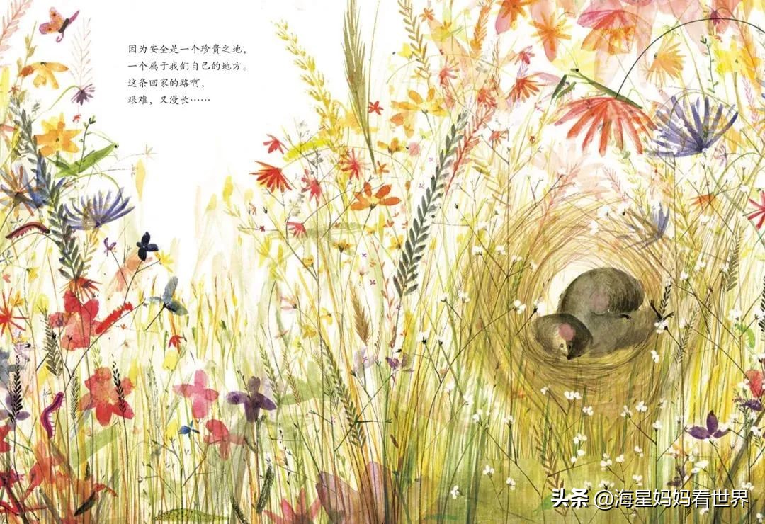 让孩子想象力训练书,让孩子想象力爆棚的秘诀