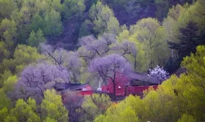 去五台山10大忠告,去五台山不需要任何理由